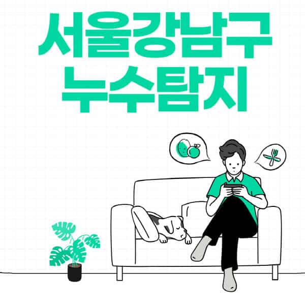 서울-강남구-누수탐지-업체-추천-비용-보험-후기-좋은-곳-출장비