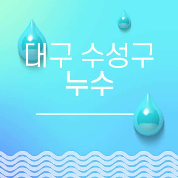 대구-수성구-누수탐지-전문업체-추천-비용-보험-후기-좋은-곳-출장비-잘하는-곳-종류-아파트