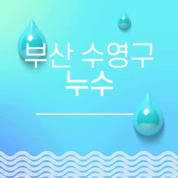 부산-수영구-누수탐지-전문업체-추천-비용-보험-후기-좋은-곳-출장비-잘하는-곳-종류-아파트