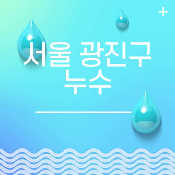 서울-광진구-누수탐지-전문업체-추천-비용-보험-후기-좋은-곳-출장비-잘하는-곳-종류-아파트