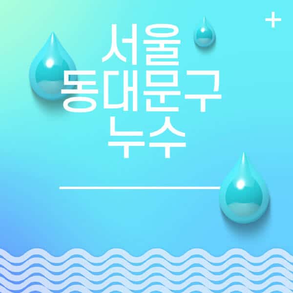 서울-동대문구-누수탐지-전문업체-추천-비용-보험-후기-좋은-곳-출장비-잘하는-곳-종류-아파트