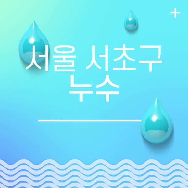 서울-서초구-누수탐지-전문업체-추천-비용-보험-후기-좋은-곳-출장비-잘하는-곳-종류-아파트