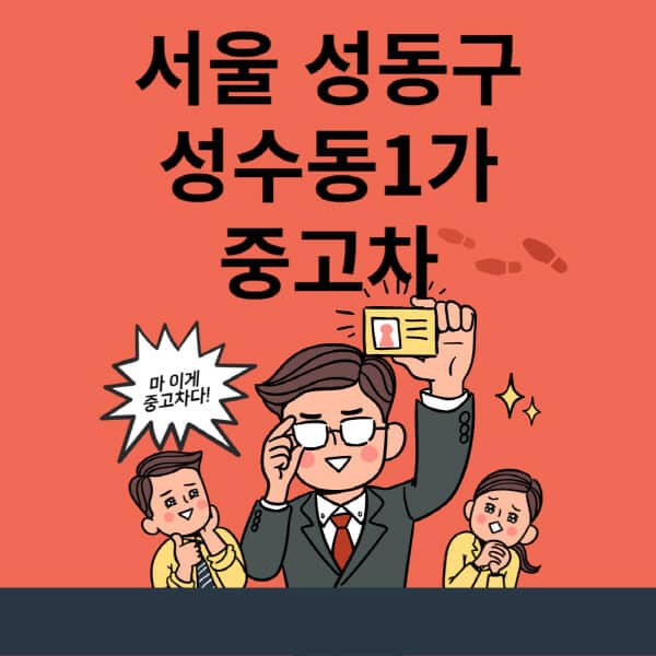 서울-성동구-성수동1가-중고차-매매단지-업체-추천-최신-시세-리스-할부-대출-현대-기아-중고차-매매-사이트