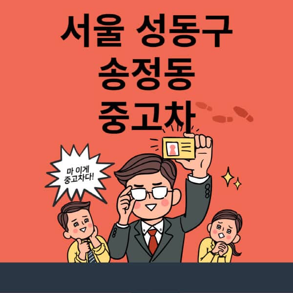 서울-성동구-송정동-중고차-매매단지-업체-추천-최신-시세-리스-할부-대출-현대-기아-중고차-매매-사이트
