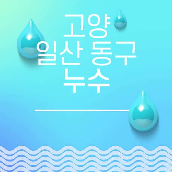 고양-일산-동구-누수탐지-전문업체-추천-비용-보험-후기-좋은-곳-출장비-잘하는-곳-종류-아파트