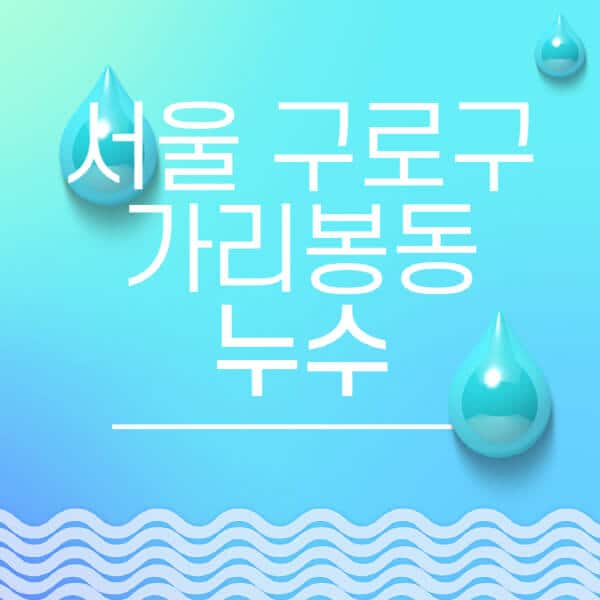 서울-구로구-가리봉동-누수탐지-전문업체-추천-비용-보험-후기-좋은-곳-출장비-잘하는-곳-종류-아파트