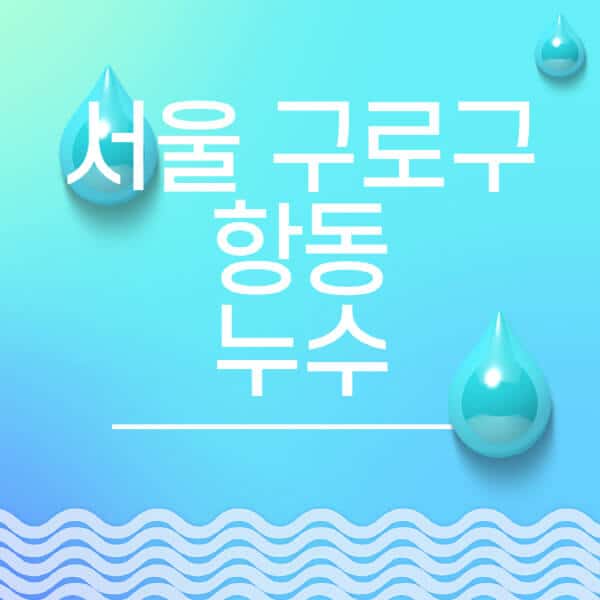 서울-구로구-항동-누수탐지-전문업체-추천-비용-보험-후기-좋은-곳-출장비-잘하는-곳-종류-아파트