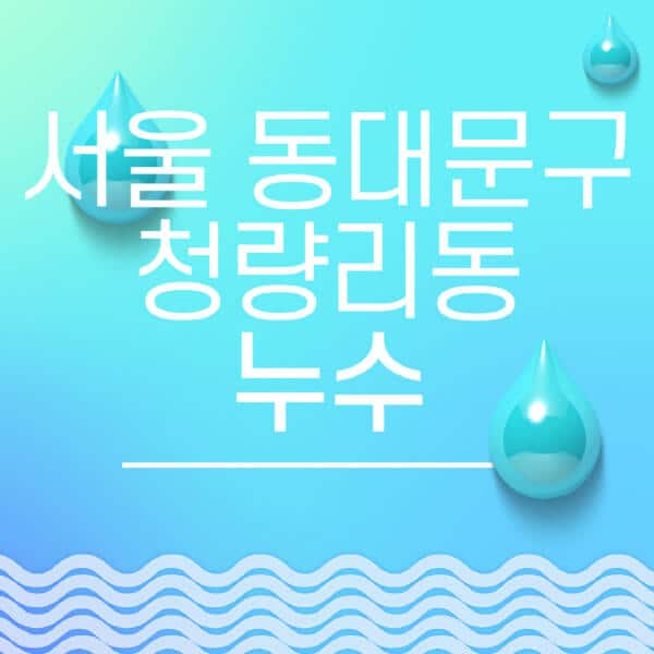 서울-동대문구-청량리동-누수탐지-전문업체-추천-비용-보험-후기-좋은-곳-출장비-잘하는-곳-종류-아파트