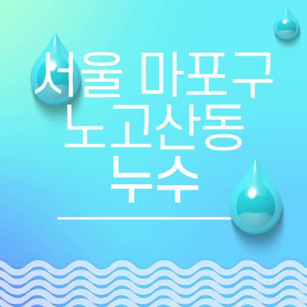 서울-마포구-노고산동-누수탐지-전문업체-추천-비용-보험-후기-좋은-곳-출장비-잘하는-곳-종류-아파트