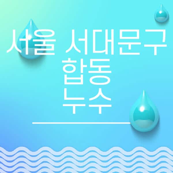 서울-서대문구-합동-누수탐지-전문업체-추천-비용-보험-후기-좋은-곳-출장비-잘하는-곳-종류-아파트
