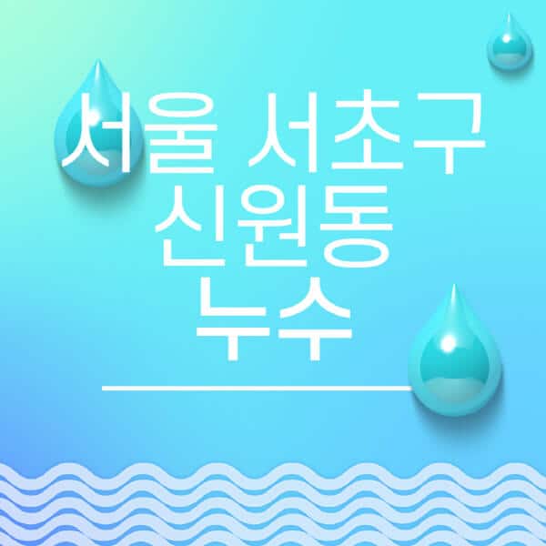 서울-서초구-신원동-누수탐지-전문업체-추천-비용-보험-후기-좋은-곳-출장비-잘하는-곳-종류-아파트