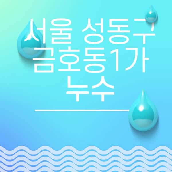 서울-성동구-금호동1가-누수탐지-전문업체-추천-비용-보험-후기-좋은-곳-출장비-잘하는-곳-종류-아파트