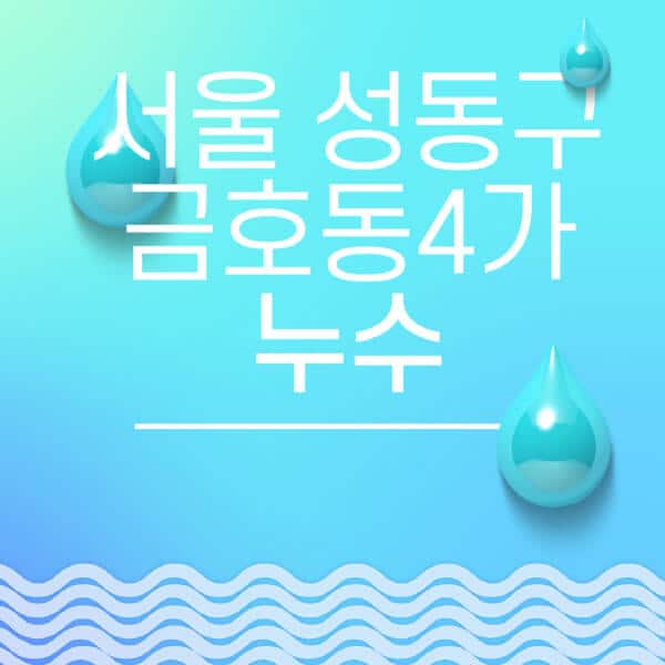 서울-성동구-금호동4가-누수탐지-전문업체-추천-비용-보험-후기-좋은-곳-출장비-잘하는-곳-종류-아파트