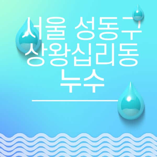 서울-성동구-상왕십리동-누수탐지-전문업체-추천-비용-보험-후기-좋은-곳-출장비-잘하는-곳-종류-아파트