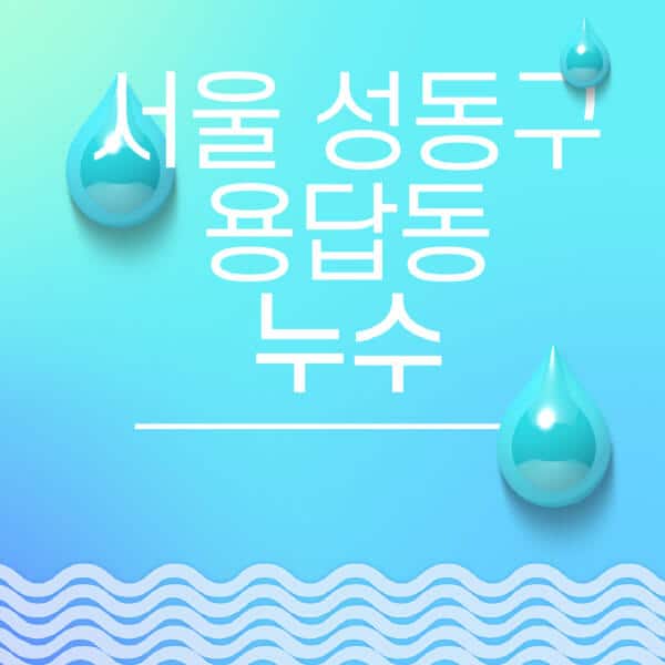 서울-성동구-용답동-누수탐지-전문업체-추천-비용-보험-후기-좋은-곳-출장비-잘하는-곳-종류-아파트
