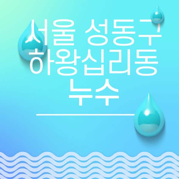 서울-성동구-하왕십리동-누수탐지-전문업체-추천-비용-보험-후기-좋은-곳-출장비-잘하는-곳-종류-아파트