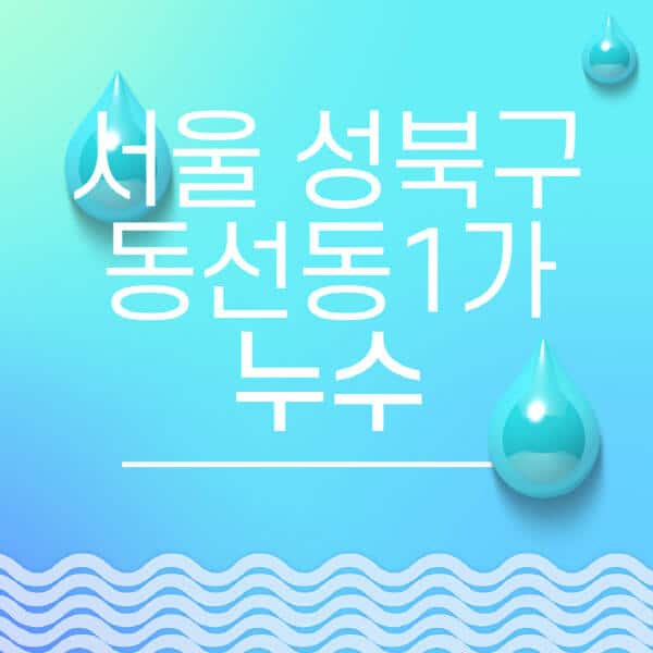 서울-성북구-동선동1가-누수탐지-전문업체-추천-비용-보험-후기-좋은-곳-출장비-잘하는-곳-종류-아파트