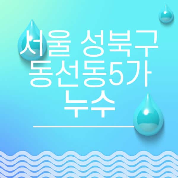 서울-성북구-동선동5가-누수탐지-전문업체-추천-비용-보험-후기-좋은-곳-출장비-잘하는-곳-종류-아파트