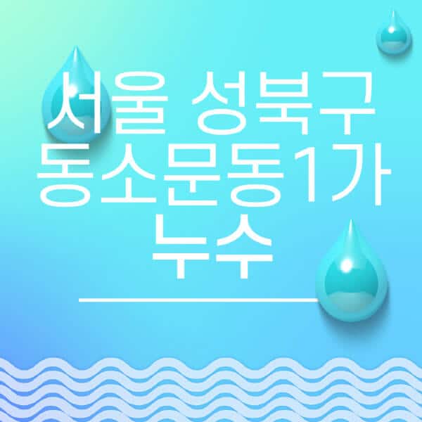 서울-성북구-동소문동1가-누수탐지-전문업체-추천-비용-보험-후기-좋은-곳-출장비-잘하는-곳-종류-아파트