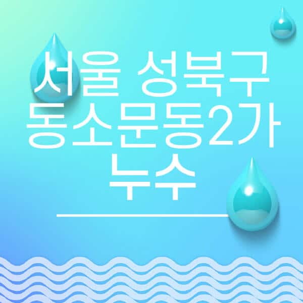 서울-성북구-동소문동2가-누수탐지-전문업체-추천-비용-보험-후기-좋은-곳-출장비-잘하는-곳-종류-아파트