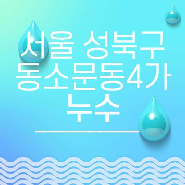 서울-성북구-동소문동4가-누수탐지-전문업체-추천-비용-보험-후기-좋은-곳-출장비-잘하는-곳-종류-아파트