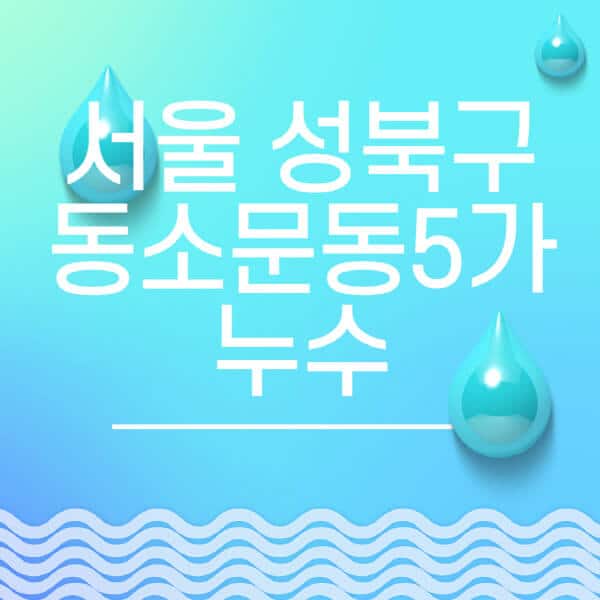 서울-성북구-동소문동5가-누수탐지-전문업체-추천-비용-보험-후기-좋은-곳-출장비-잘하는-곳-종류-아파트