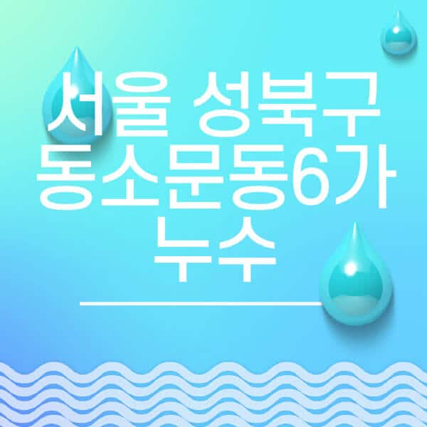 서울-성북구-동소문동6가-누수탐지-전문업체-추천-비용-보험-후기-좋은-곳-출장비-잘하는-곳-종류-아파트