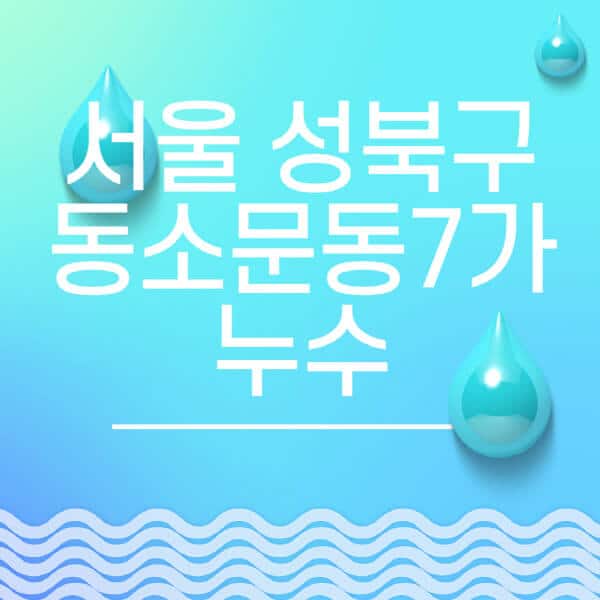 서울-성북구-동소문동7가-누수탐지-전문업체-추천-비용-보험-후기-좋은-곳-출장비-잘하는-곳-종류-아파트