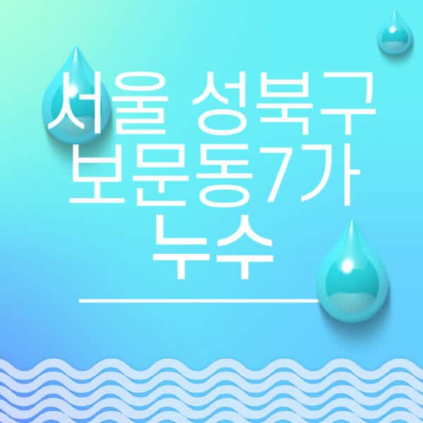 서울-성북구-보문동7가-누수탐지-전문업체-추천-비용-보험-후기-좋은-곳-출장비-잘하는-곳-종류-아파트