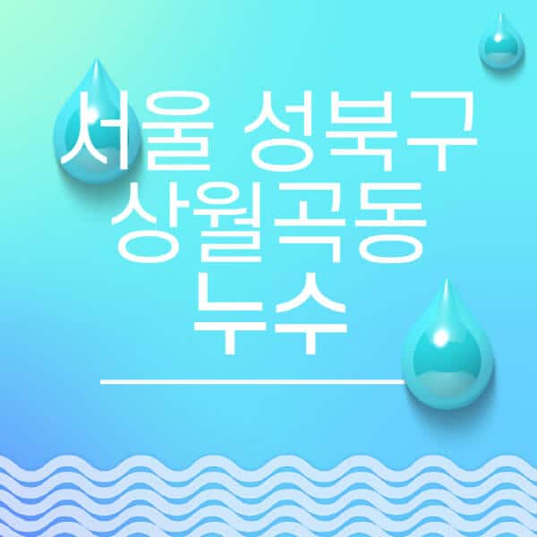 서울-성북구-상월곡동-누수탐지-전문업체-추천-비용-보험-후기-좋은-곳-출장비-잘하는-곳-종류-아파트
