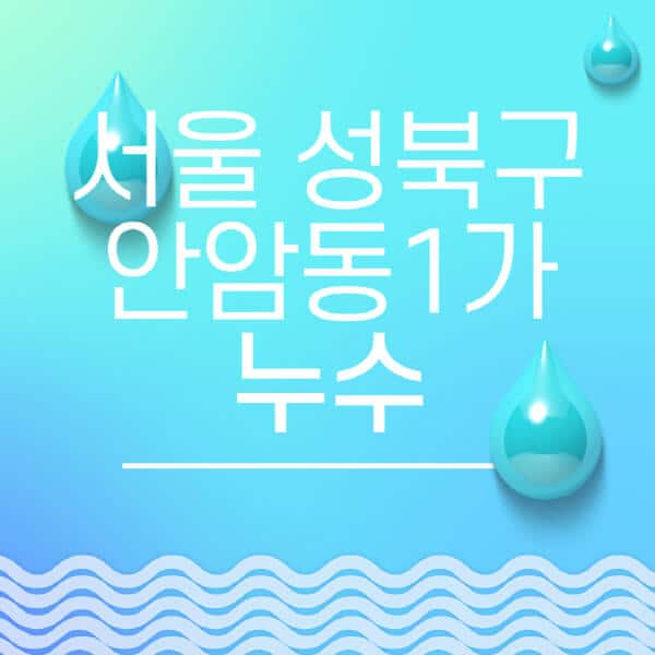 서울-성북구-안암동1가-누수탐지-전문업체-추천-비용-보험-후기-좋은-곳-출장비-잘하는-곳-종류-아파트