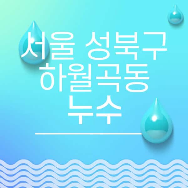 서울-성북구-하월곡동-누수탐지-전문업체-추천-비용-보험-후기-좋은-곳-출장비-잘하는-곳-종류-아파트