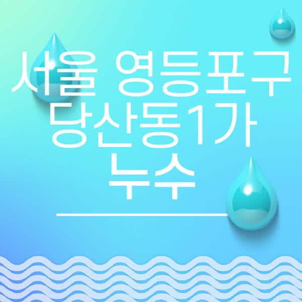 서울-영등포구-당산동1가-누수탐지-전문업체-추천-비용-보험-후기-좋은-곳-출장비-잘하는-곳-종류-아파트