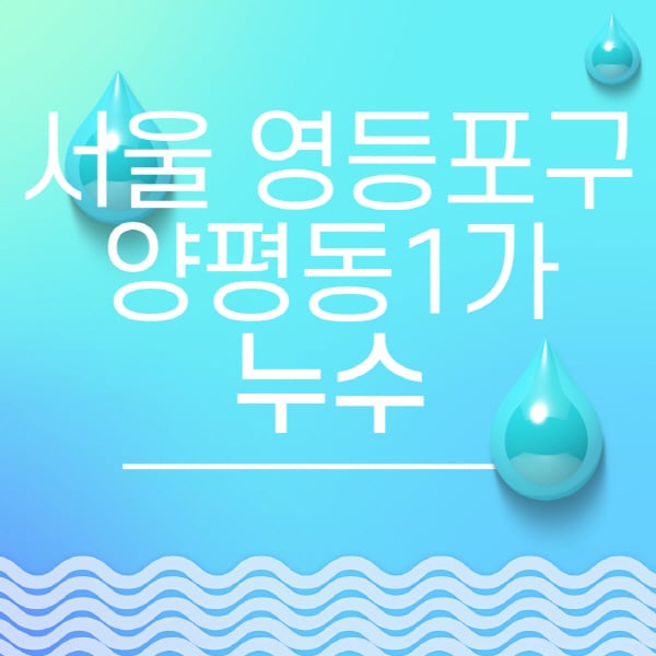 서울-영등포구-양평동1가-누수탐지-전문업체-추천-비용-보험-후기-좋은-곳-출장비-잘하는-곳-종류-아파트