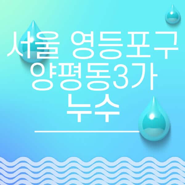서울-영등포구-양평동3가-누수탐지-전문업체-추천-비용-보험-후기-좋은-곳-출장비-잘하는-곳-종류-아파트