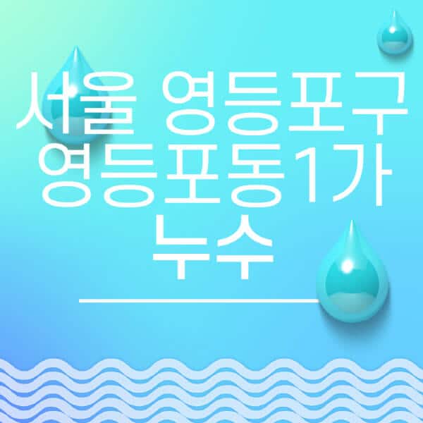 서울-영등포구-영등포동1가-누수탐지-전문업체-추천-비용-보험-후기-좋은-곳-출장비-잘하는-곳-종류-아파트