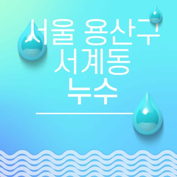 서울-용산구-서계동-누수탐지-전문업체-추천-비용-보험-후기-좋은-곳-출장비-잘하는-곳-종류-아파트
