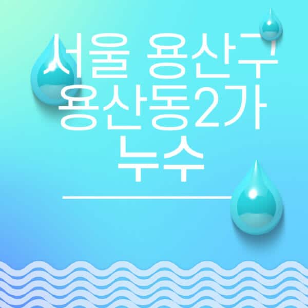 서울-용산구-용산동2가-누수탐지-전문업체-추천-비용-보험-후기-좋은-곳-출장비-잘하는-곳-종류-아파트