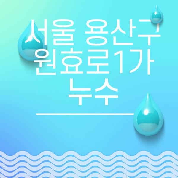 서울-용산구-원효로1가-누수탐지-전문업체-추천-비용-보험-후기-좋은-곳-출장비-잘하는-곳-종류-아파트