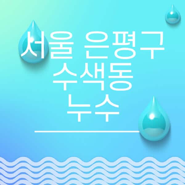 서울-은평구-수색동-누수탐지-전문업체-추천-비용-보험-후기-좋은-곳-출장비-잘하는-곳-종류-아파트
