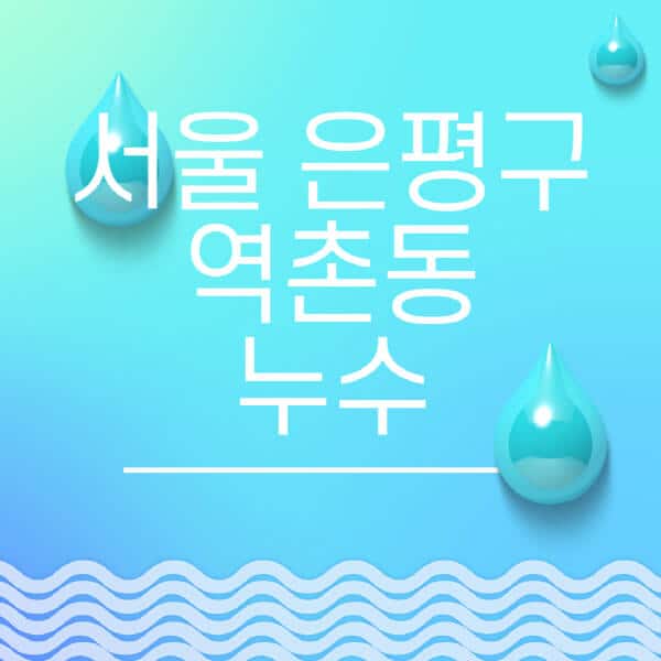 서울-은평구-역촌동-누수탐지-전문업체-추천-비용-보험-후기-좋은-곳-출장비-잘하는-곳-종류-아파트