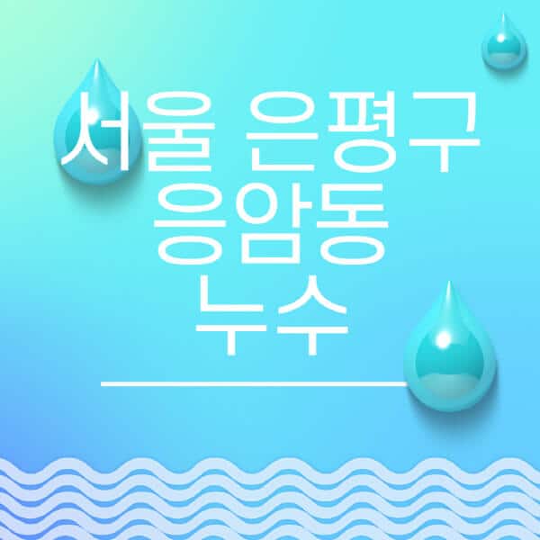 서울-은평구-응암동-누수탐지-전문업체-추천-비용-보험-후기-좋은-곳-출장비-잘하는-곳-종류-아파트