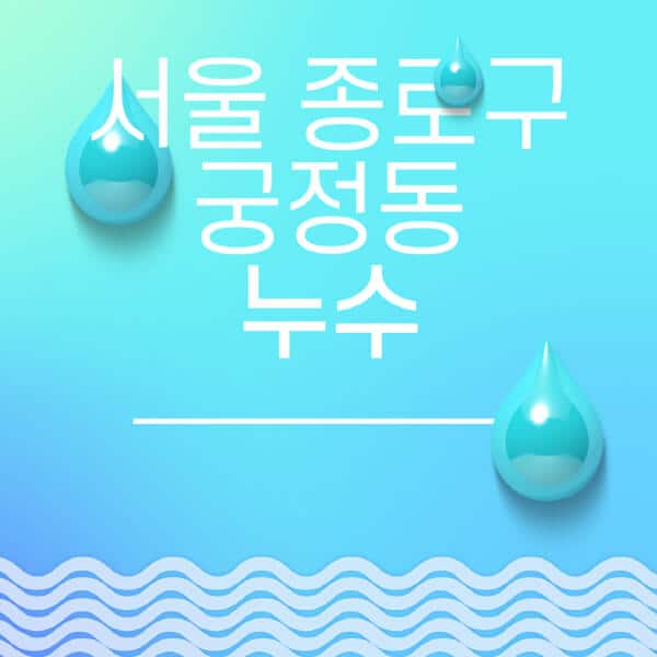 서울-종로구-궁정동-누수탐지-전문업체-추천-비용-보험-후기-좋은-곳-출장비-잘하는-곳-종류-아파트