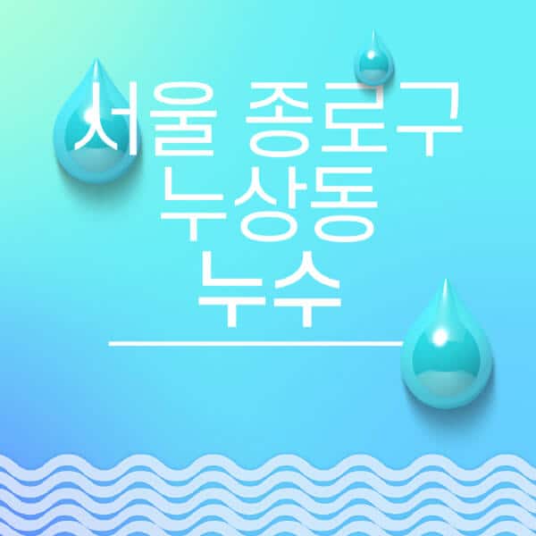 서울-종로구-누상동-누수탐지-전문업체-추천-비용-보험-후기-좋은-곳-출장비-잘하는-곳-종류-아파트