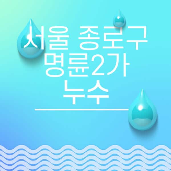 서울-종로구-명륜2가-누수탐지-전문업체-추천-비용-보험-후기-좋은-곳-출장비-잘하는-곳-종류-아파트