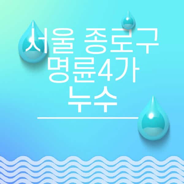 서울-종로구-명륜4가-누수탐지-전문업체-추천-비용-보험-후기-좋은-곳-출장비-잘하는-곳-종류-아파트