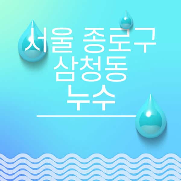 서울-종로구-삼청동-누수탐지-전문업체-추천-비용-보험-후기-좋은-곳-출장비-잘하는-곳-종류-아파트