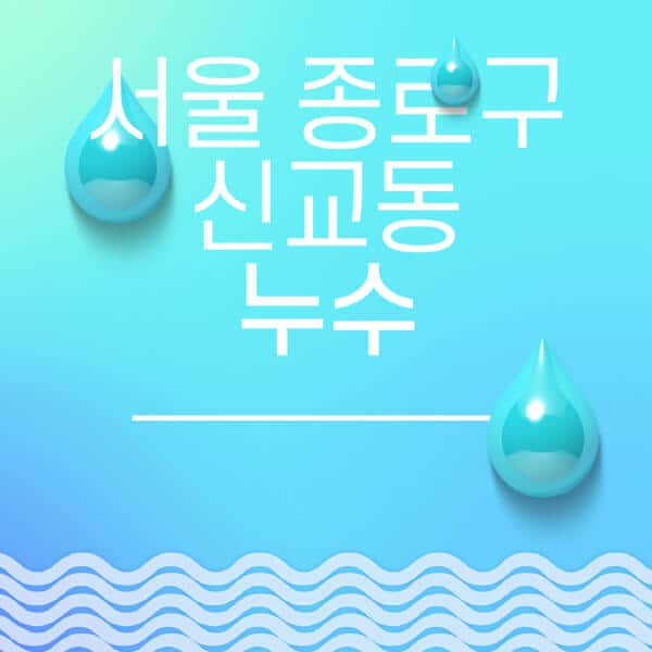 서울-종로구-신교동-누수탐지-전문업체-추천-비용-보험-후기-좋은-곳-출장비-잘하는-곳-종류-아파트