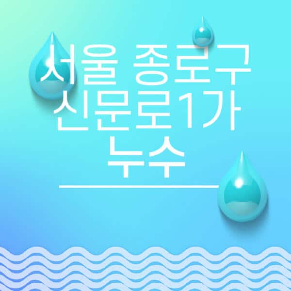 서울-종로구-신문로1가-누수탐지-전문업체-추천-비용-보험-후기-좋은-곳-출장비-잘하는-곳-종류-아파트