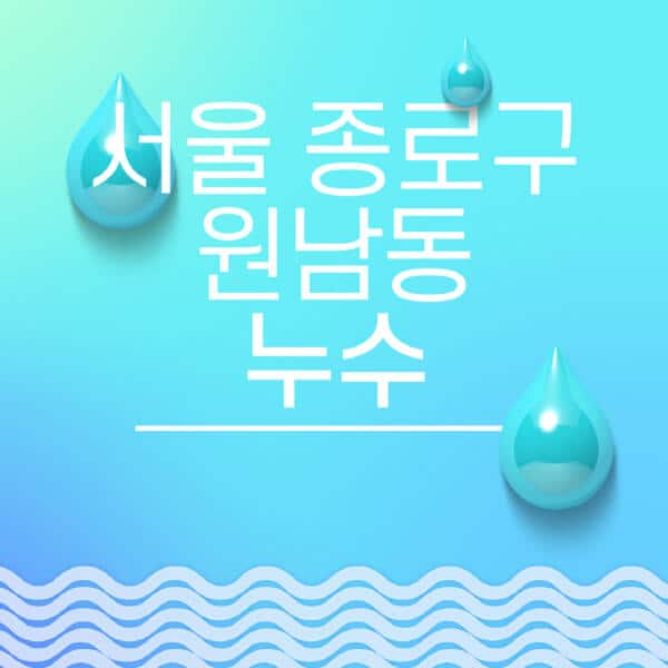 서울-종로구-원남동-누수탐지-전문업체-추천-비용-보험-후기-좋은-곳-출장비-잘하는-곳-종류-아파트